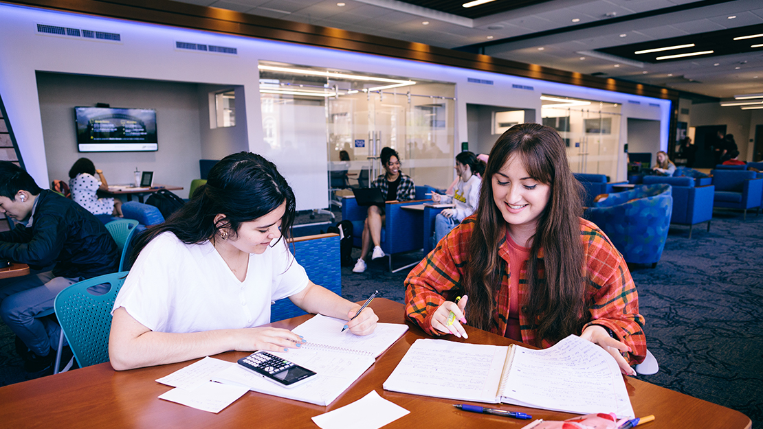 students studying in the business school