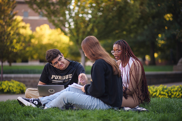 students studying together on the grass